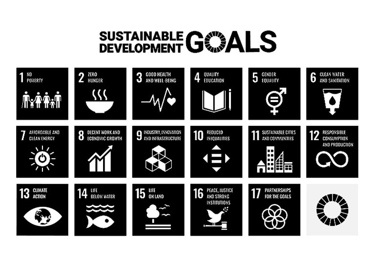icon: 17 Goals to Transform Our World